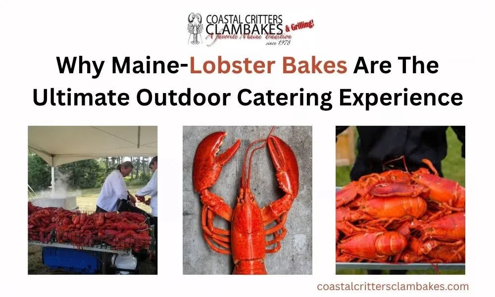 Why Maine-Lobster Bakes Are the Ultimate Outdoor Catering Experience